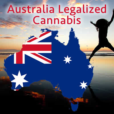 Medical Cannabis Now Legal In Australia - Australian Seed Bank