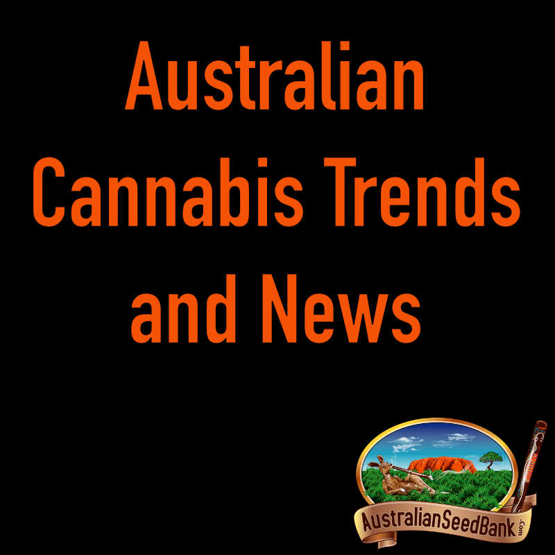 Australian Cannabis Trends and News